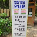 대한다원화장실 | 전남 보성 녹차밭 대한다원 자연힐링 아이랑 가볼만한곳