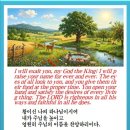 오늘의 양식