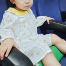 36개월 아이가 50분 내내 집중한 대구 어린이공연 추천 동아쇼핑 아트홀 헨젤과 그레텔 후기
