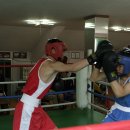 진주문화복싱클럽 이미지