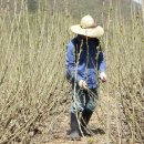 윤성농장 이미지