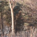 문성자연휴양림 이미지