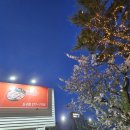 큰손막창(도구점) 이미지