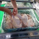 화천닭집 - 28687 | 화천닭집