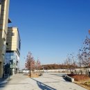 나성동_메가박스 건물 앞 이미지