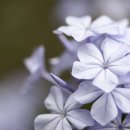 성혜한의원 이미지