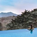 스파분식 이미지