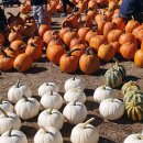 주립농장 이미지