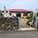 동카름 제주도 <b>동카름</b>: 매콤한 낙지볶음의 진수