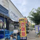 청해진선어회