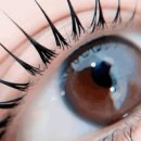 둔산중로-40 이미지