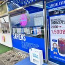 커피사피엔스세종정부
