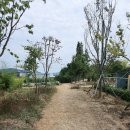 의료법인운하의료재단 포항요양병원 | 운하의료재단 포항요양병원 &amp; 조안아카데미 업무협약식