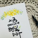 여기서지금 이미지