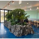 모모의바다 이미지