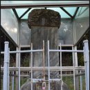 노한묘와 신도비 이미지