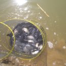 약수 낚시터 이미지