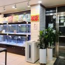 광주강아지분양 애견만세 이미지