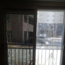 순천덕진의봄 이미지