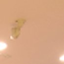 박운교성형외과의원 이미지