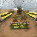 오천동 Daum카페