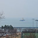 힘찬건강원약초당