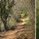 병선농장 이미지