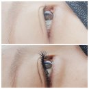 활짝핀 속눈썹 이미지