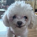 주사랑메디컬 이미지