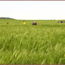 윤용하 농장 이미지