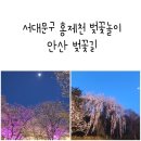 안산공원 | 서울 서대문구 벚꽃 홍제동 안산 벚꽃길 안산공원 홍제폭포 주차정보
