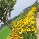 솔롱고스 이미지