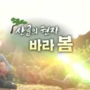 독립-20-01 이미지