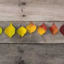 구월한의원 이미지