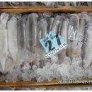 29일 민어(민어회),덕자,오징어,반건조 통치민어,우럭,활전복판매-목포먹갈치생선카페