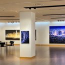 일탈을꿈꾸며 이미지