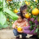 대촌농장 이미지