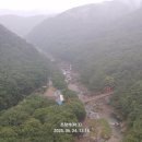 주자천 이미지