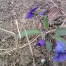 하남면사무소 이미지