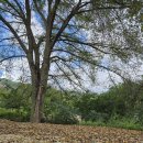 펜션 무이 이미지