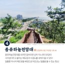 (주)지티인터내셔널