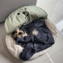 슬로우인 이미지