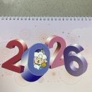 구산복집 | DEC #7. 혈육의 결혼식을 곁들인 12월 일상🤵🏻👰🏻‍♀️