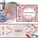 경희바른선한의원 이미지