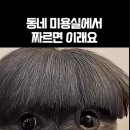 동네미용실 - 중구 전소로1번길 9 | 동네미용실