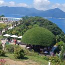 넓은세상 이미지