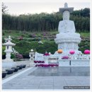 세븐일레븐 수영구청점 이미지