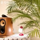 홍치과의원 이미지