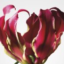 J여성사우나 이미지