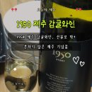좋은 양조장 | 감귤와인 추천｜1950 제주양조장 제주도선물로 좋은 감귤와인 750ml 후기